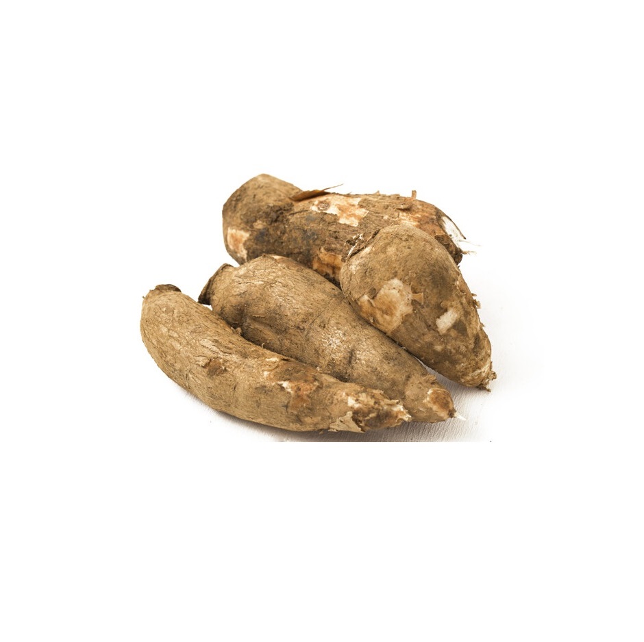 Manioc